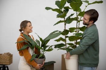 Stappenplan voor je eerste huis