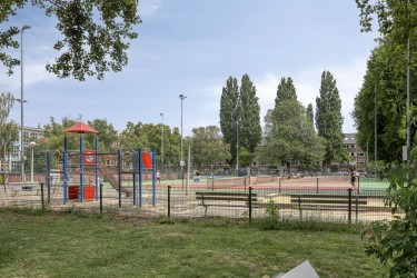 Omgeving