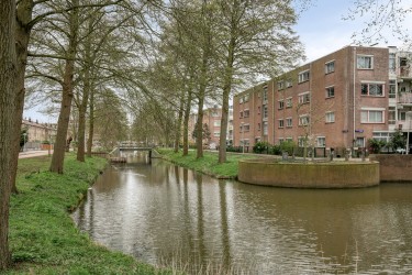 Omgeving