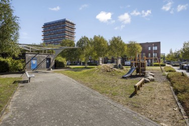 Tuin
