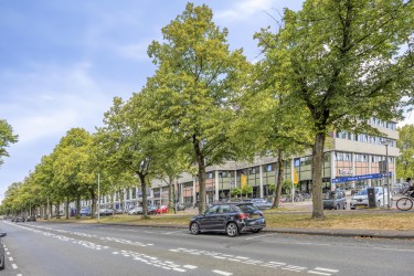 Omgeving