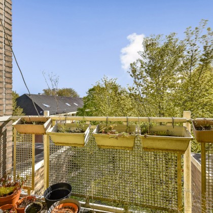 Volop genieten