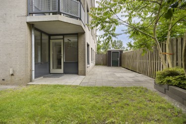 Tuin