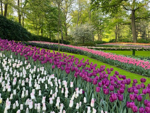 Hoekstra en Van Eck, dé NVM makelaar in Lisse