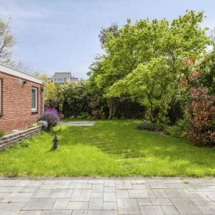 Zonnige tuin