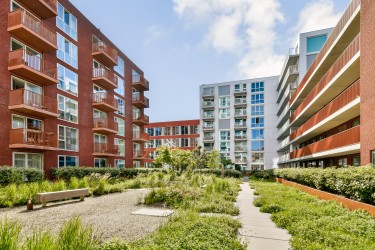 Gelegen op NDSM-werf