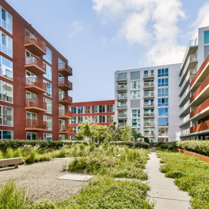 Gelegen op NDSM-werf