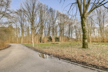 Extra foto's