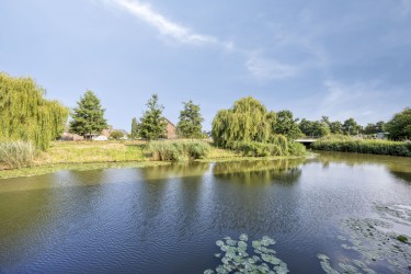 Omgeving