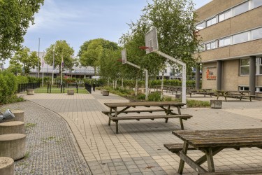 Omgeving