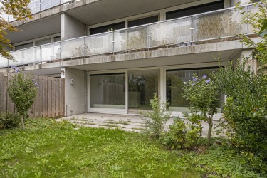 Tuin