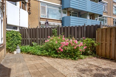 Tuin