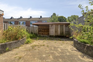 Tuin