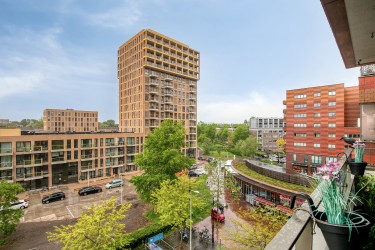 Omgeving