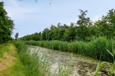Extra foto's