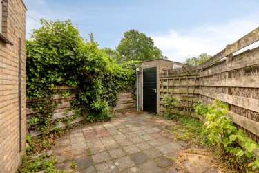 Tuin