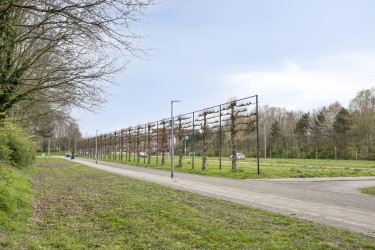 Extra foto's