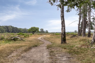 Omgeving