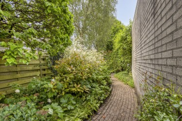 Tuin