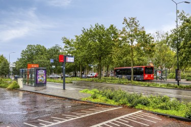Mangoweg792321HzLeiden-01.jpg