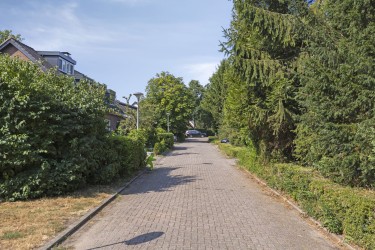 Omgeving