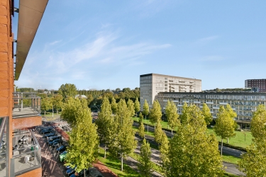 Omgeving
