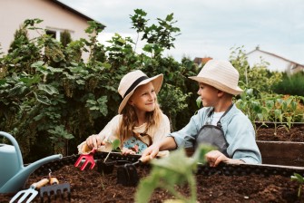 De beste buurten in Haarlem om te wonen met jonge kinderen