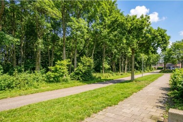 Tuin