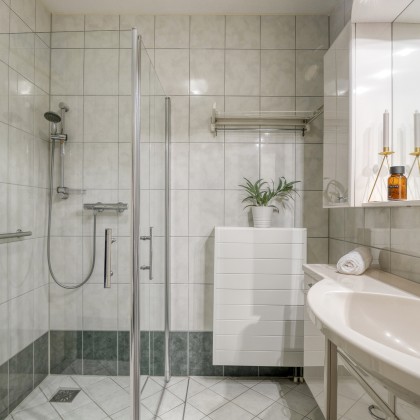 Douche en wellness toilet