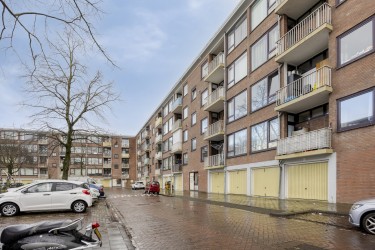 Omgeving