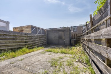 Tuin