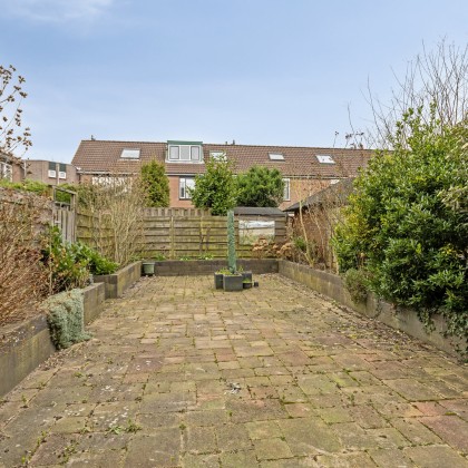 Grote tuin