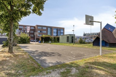 Omgeving