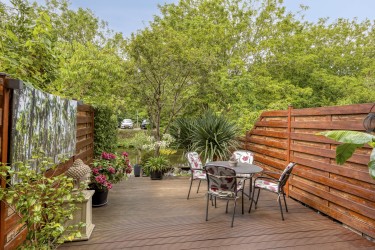 Tuin