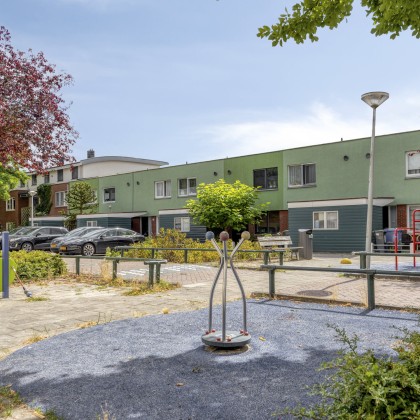 Veel groen