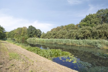 Omgeving