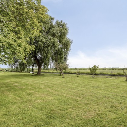 Royale tuin
