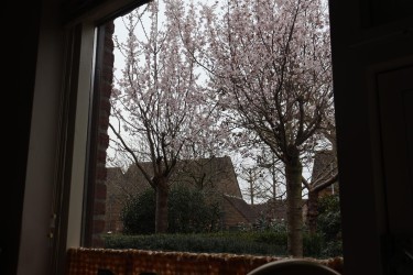 Extra foto's