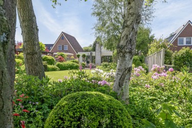 Extra foto's