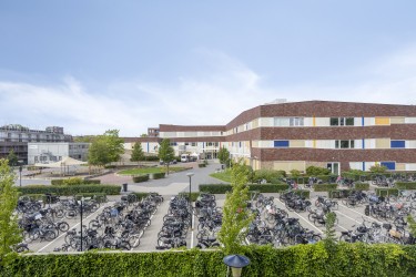 Omgeving