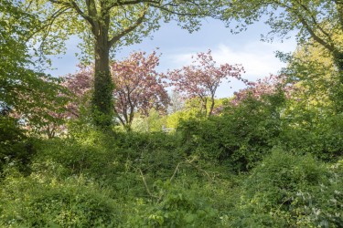 Omgeving