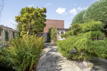 Tuin