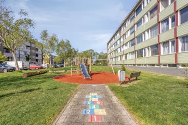 Omgeving