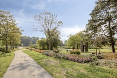 Omgeving