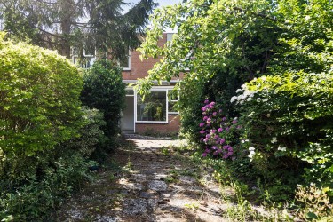 Tuin