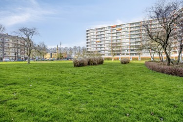 Omgeving