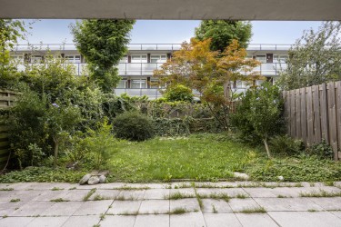 Tuin