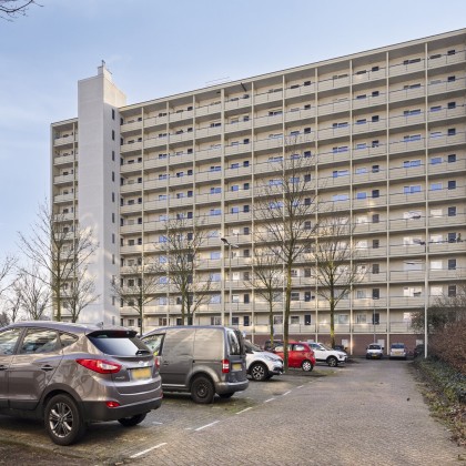 Rustige buurt