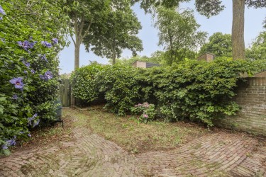 Tuin