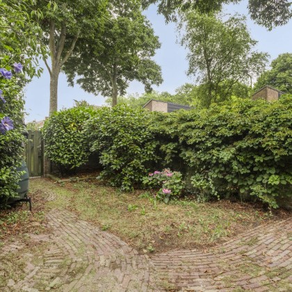 Weelderig groen